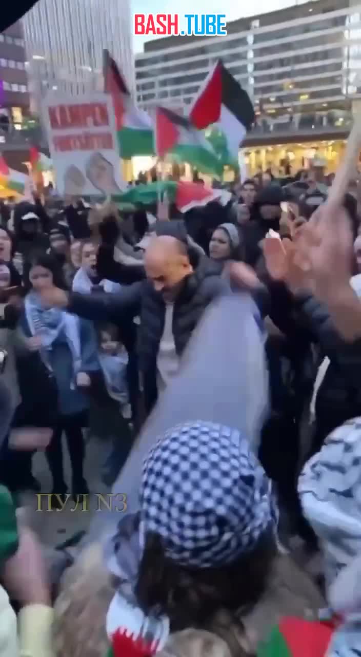  В Швеции протестующие рвут и топчут израильский флаг
