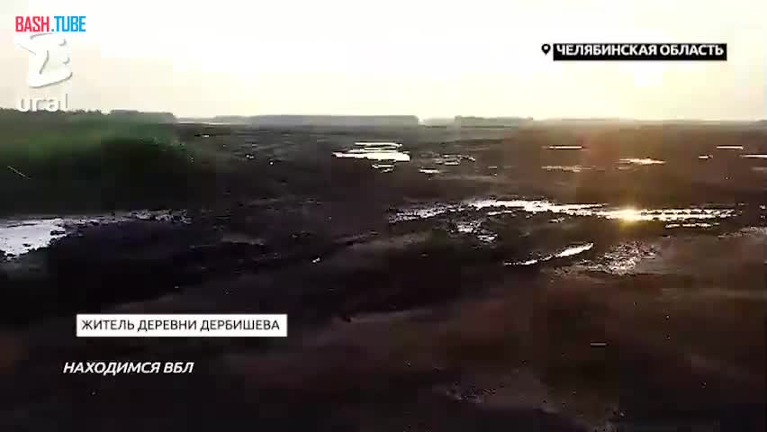  Мухи захватили пять деревень в Челябинской области
