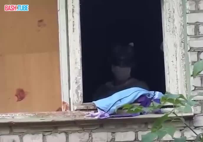 ⁣ В Нижегородской области сумасшедшая бабуля давно кошмарит окружающих