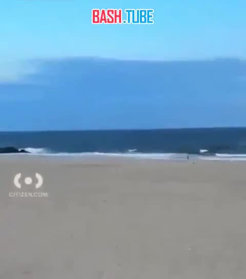  Акула напала на женщину на пляже Rockaway в Нью-Йорке