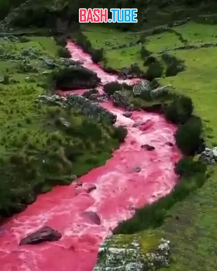  Из-за сильных дождей в Перу Красная река Куско вернула себе кровавый цвет