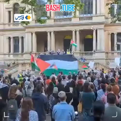  В Сиднее прошел митинг в поддержку Палестины с участием около сотни людей