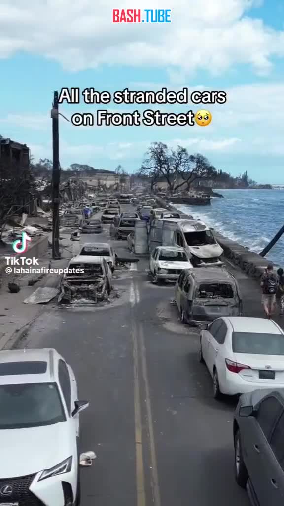 ⁣ Гавайи после пожара выглядят как готовый антураж для съёмок постапокалиптического фильма