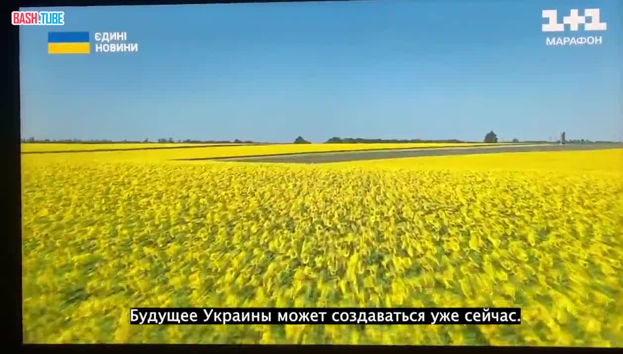  На украинском ТВ предложили хоронить солдат ВСУ в биоразлагаемых пакетах