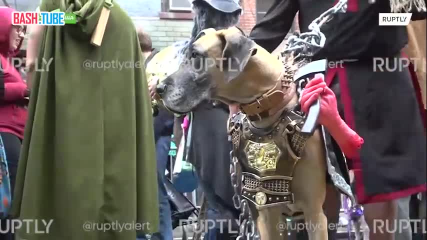  Собачий маскарад: в Нью-Йорке прошел костюмированный парад четырехлапых друзей в преддверии Хэллоуина