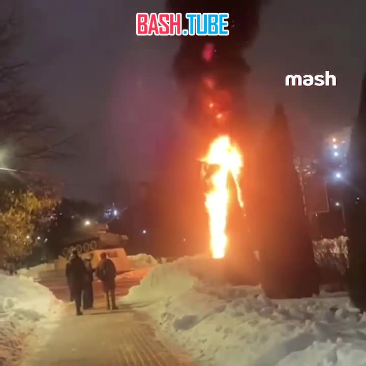 ⁣ В сквере Марии Рубцовой в подмосковных Химках сгорела новогодняя ёлка
