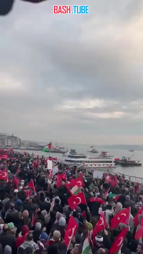 ⁣ В Стамбуле массовая акция поддержки Палестины