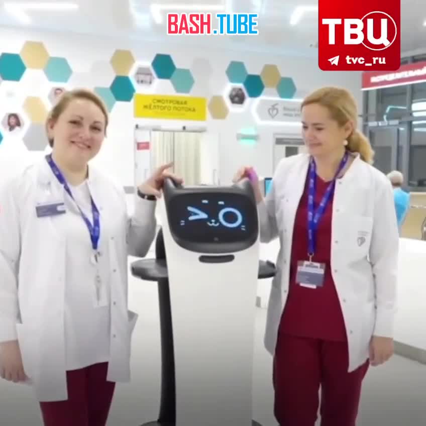  «Робокошки» начали работать в московских больницах