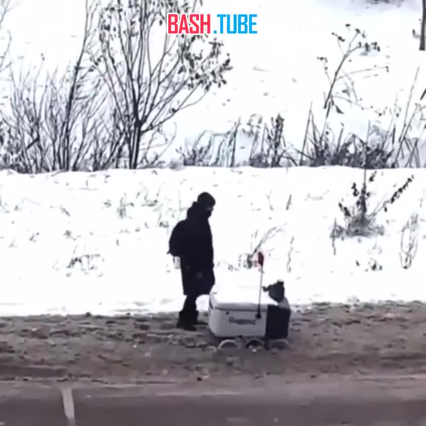 ⁣ В Санкт-Петербурге местные жители спасли робота-курьера, застрявшего в сугробе