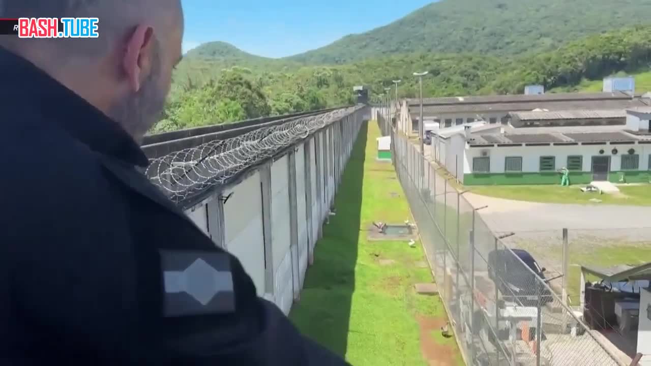  В бразильской тюрьме сторожевых собак заменили на гусей