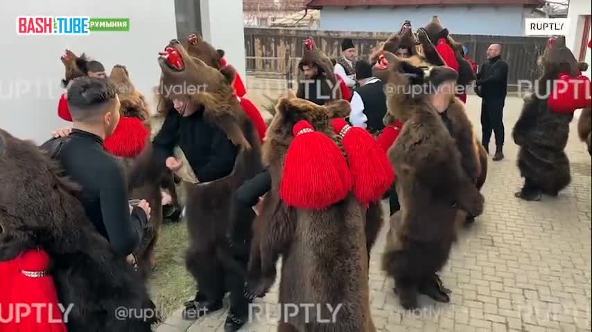 ⁣ В румынской деревне Комэнешти прошел традиционный парад танцующих медведей