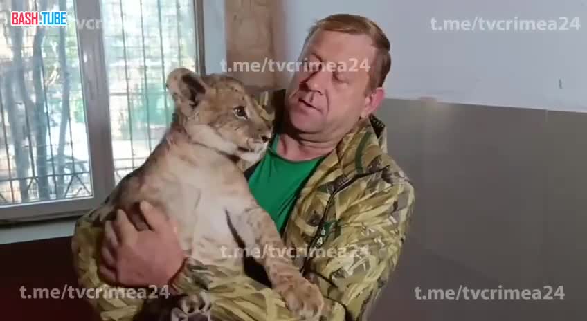 ⁣ В Крым переехал ещё один львёнок из Донецка