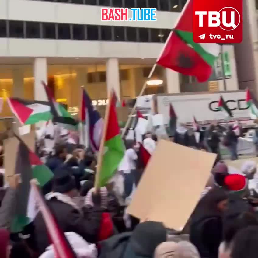 ⁣ Тысячи человек вышли на демонстрацию в поддержку Палестины в Чикаго