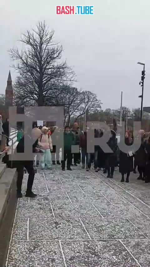  В Хельсинки проходит митинг против закрытия финскими властями четырех КПП на границе с Россией