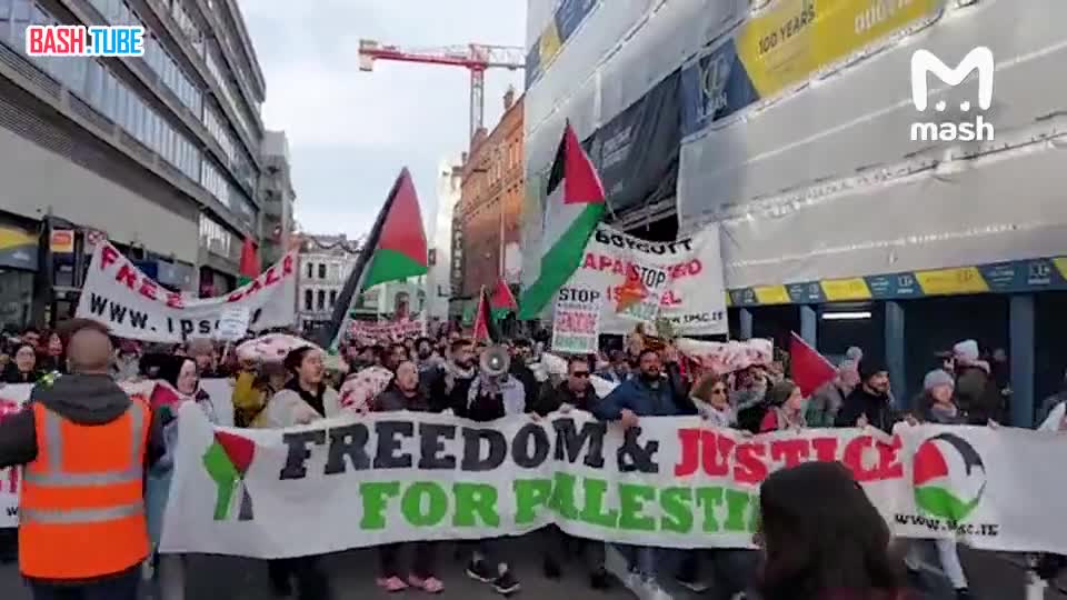  Очередные выходные, очередные массовые митинги в поддержку Палестины