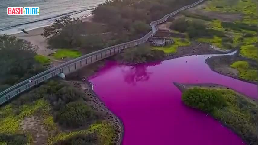 ⁣ Барбикор добрался до природы: озеро на американских Гавайях приобрело ярко-розовый оттенок