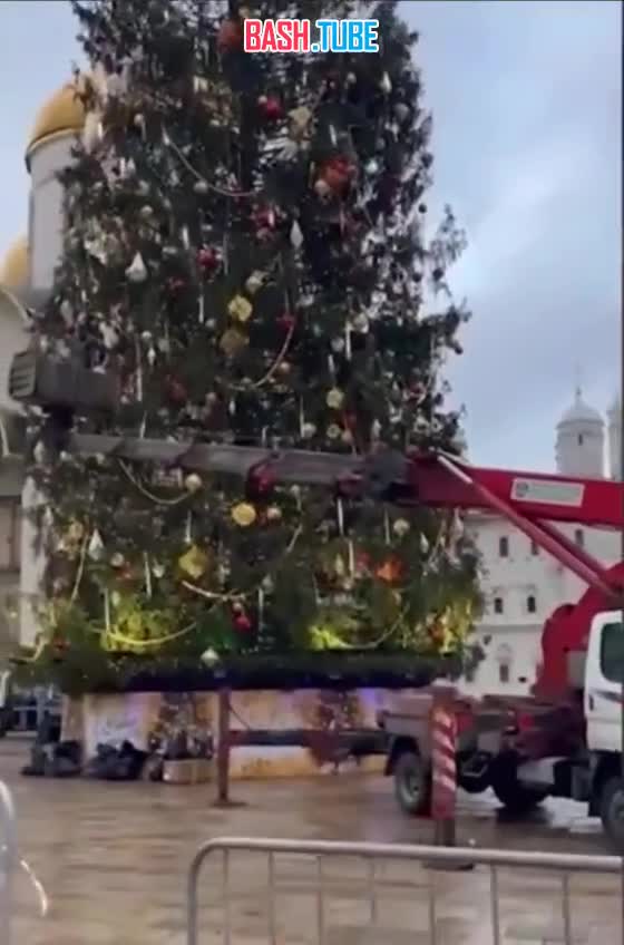  На Соборной площади Кремля установили главную новогоднюю ёлку России