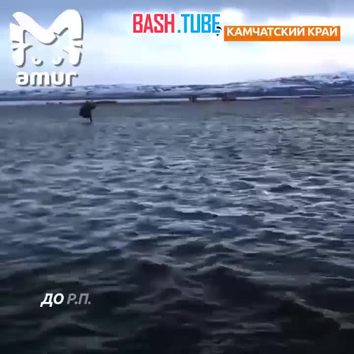 ⁣ Берингово море вышло из берегов и затопило камчатский аэропорт Тиличики