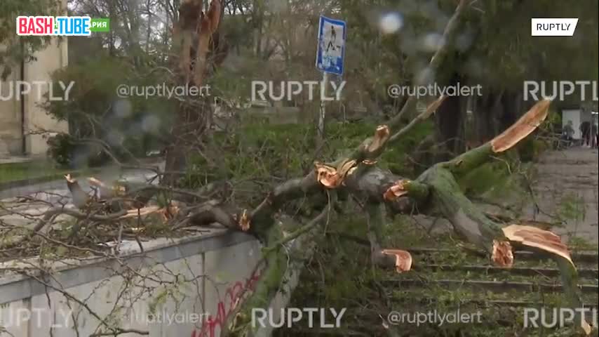 ⁣ Мощный ураган обрушился на болгарскую Варну, повалив сотни деревьев и повредив десятки автомобилей