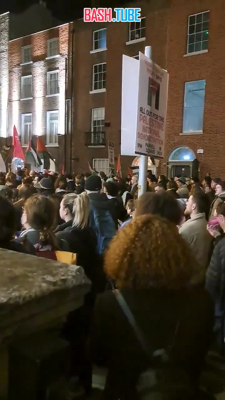  В Дублине прошли массовые демонстрации с требованием высылки посла Израиля и санкций против оккупации сектора Газа