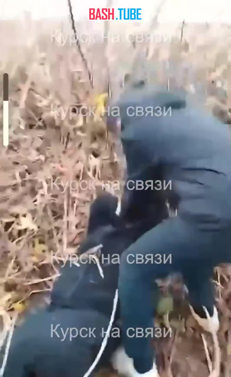  В Курской области подросток-киргиз жестоко избил местных школьников, записывая все на видео