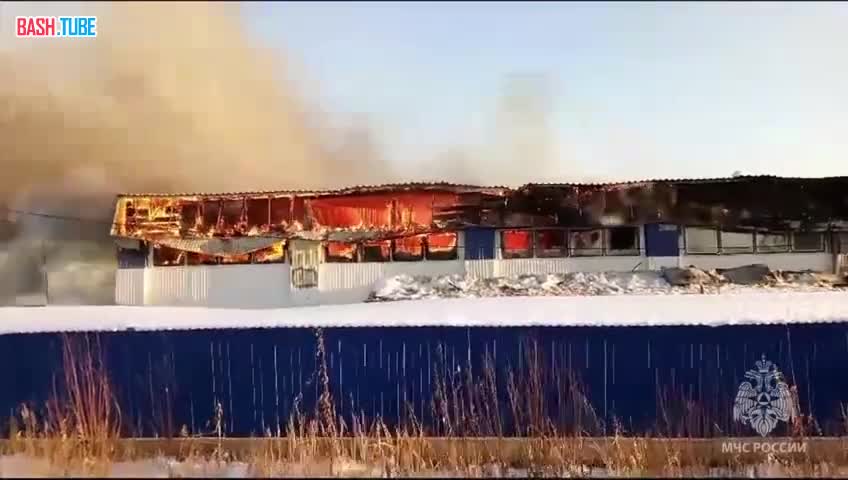  В Тюменской области огнеборцы МЧС России локализовали пожар