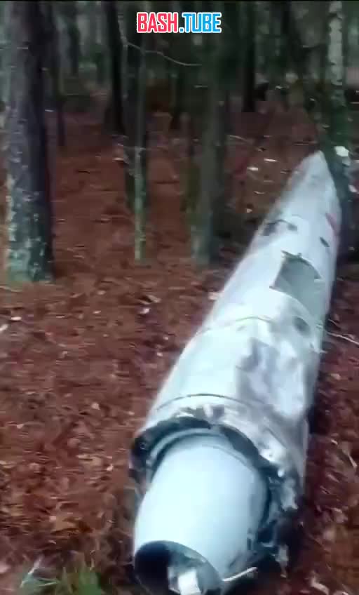 ⁣ В Киевской области местный житель пошел по грибы, а обнаружил ракету