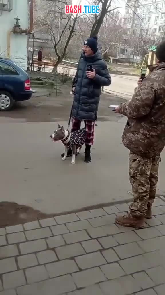 ⁣ В Днепропетровске собака спасла парня от мобилизации