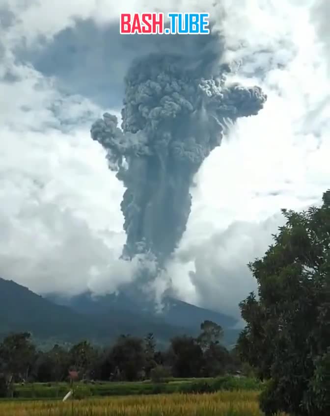  В Индонезии в результате извержения вулкана Марапи погибли 13 человек, пропавшими без вести числятся 10 альпинистов