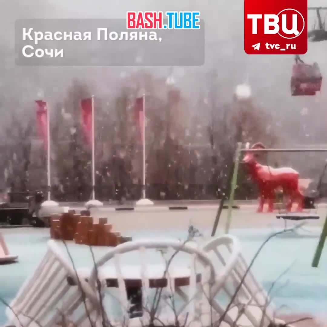 ⁣ Снежная вьюга окутала Сочи и Севастополь