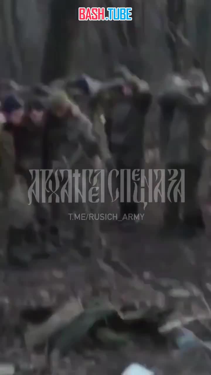 ⁣ Целый взвод ВСУ сдался в плен российским войскам