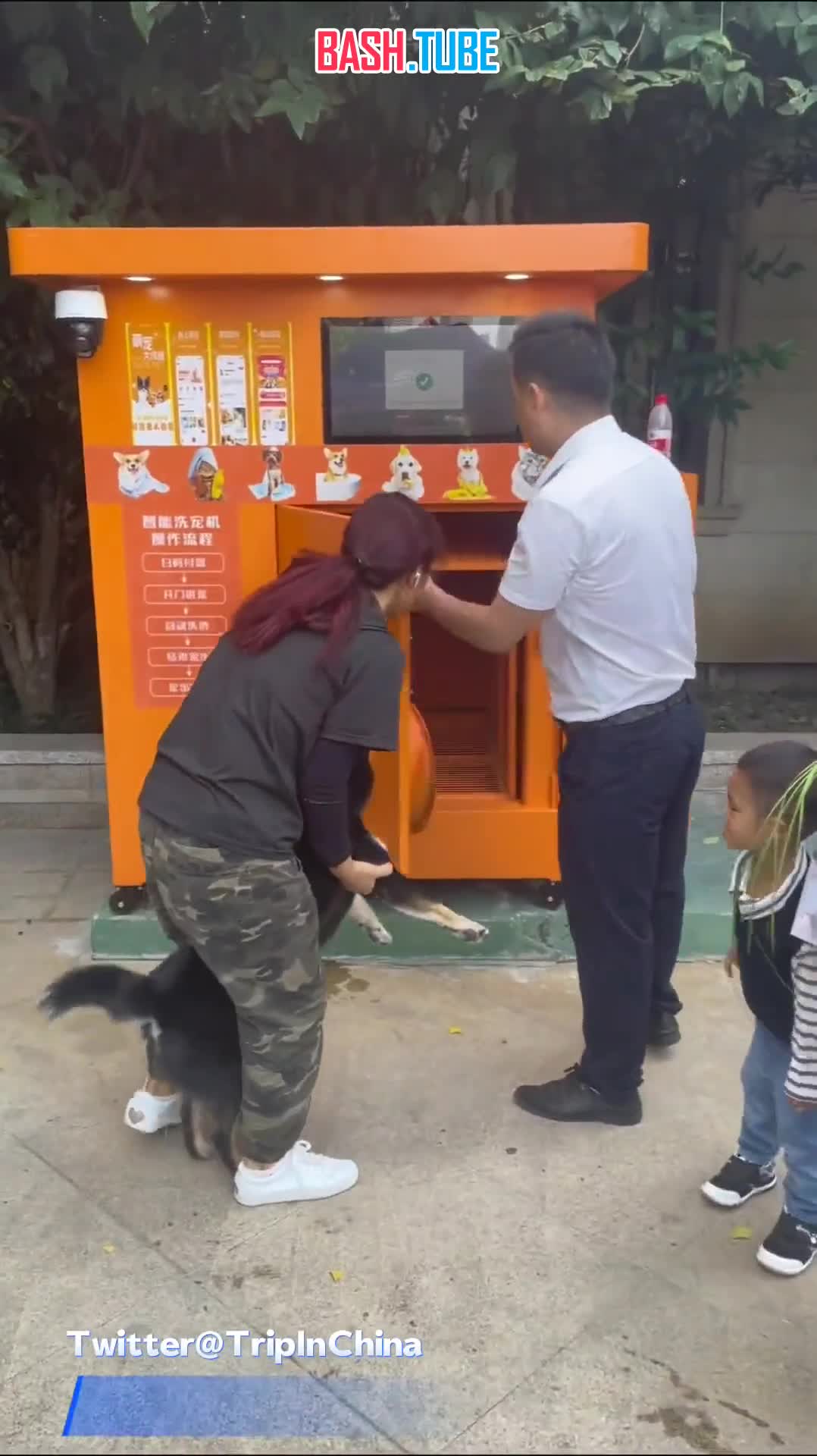  В Китае появились автоматы-душевые для питомцев