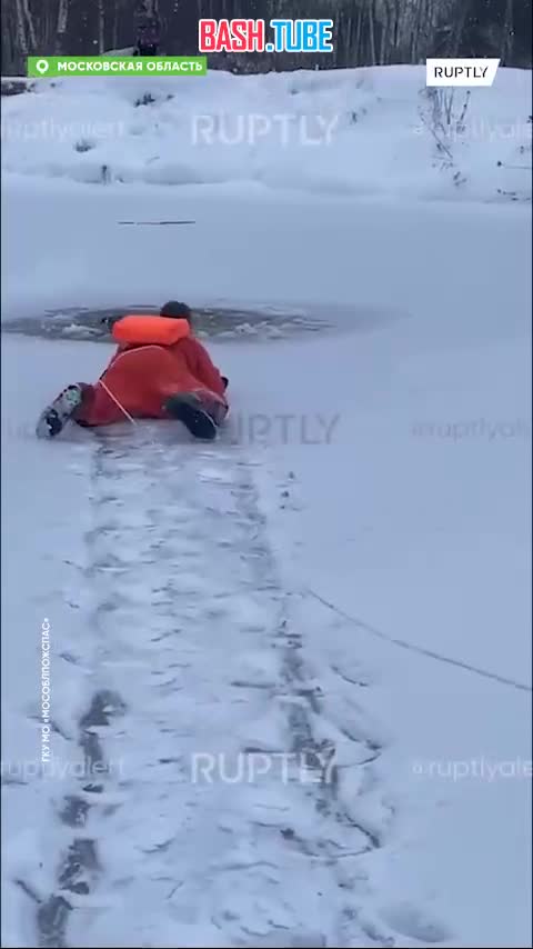 ⁣ Сотрудники Мособлпожспаса спасли четвероногого друга, провалившегося под лед в Павлово-Посадском округе