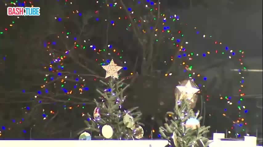 ⁣ Главное рождественское дерево США рухнуло из-за ветра