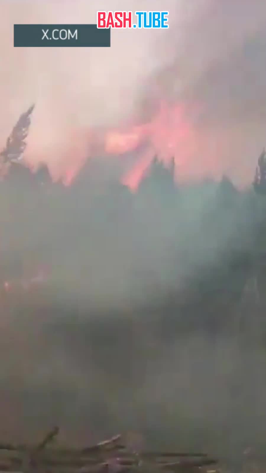  В Колумбии крупные лесные пожары охватили страну и подходят вплотную к городам