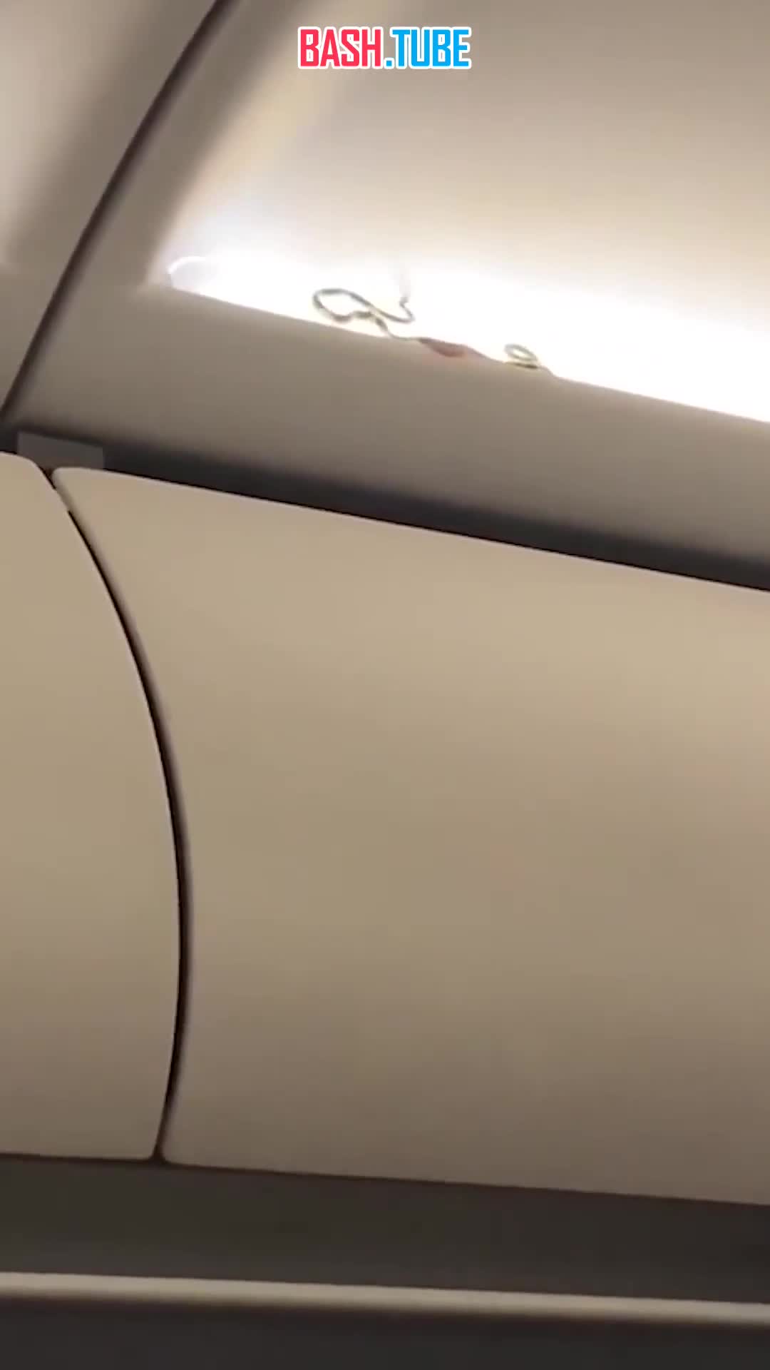  Змея вызвала панику среди пассажиров самолета, направлявшегося из Бангкока в Пхукет