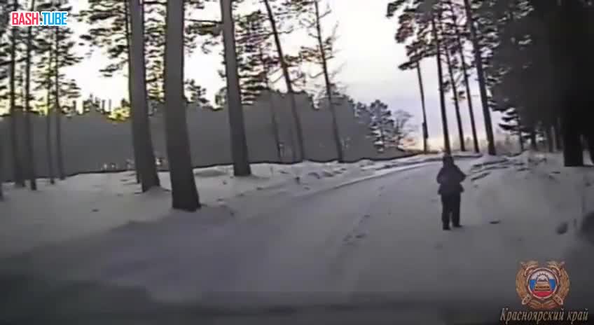 ⁣ Сотрудники ГИБДД в Красноярском крае спасли замерзающую девочку, которая бродила одна у леса