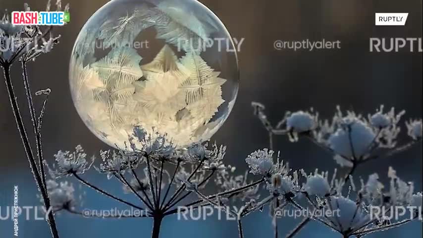 ⁣ Новосибирский фотограф создает на морозе удивительные мыльные пузыри