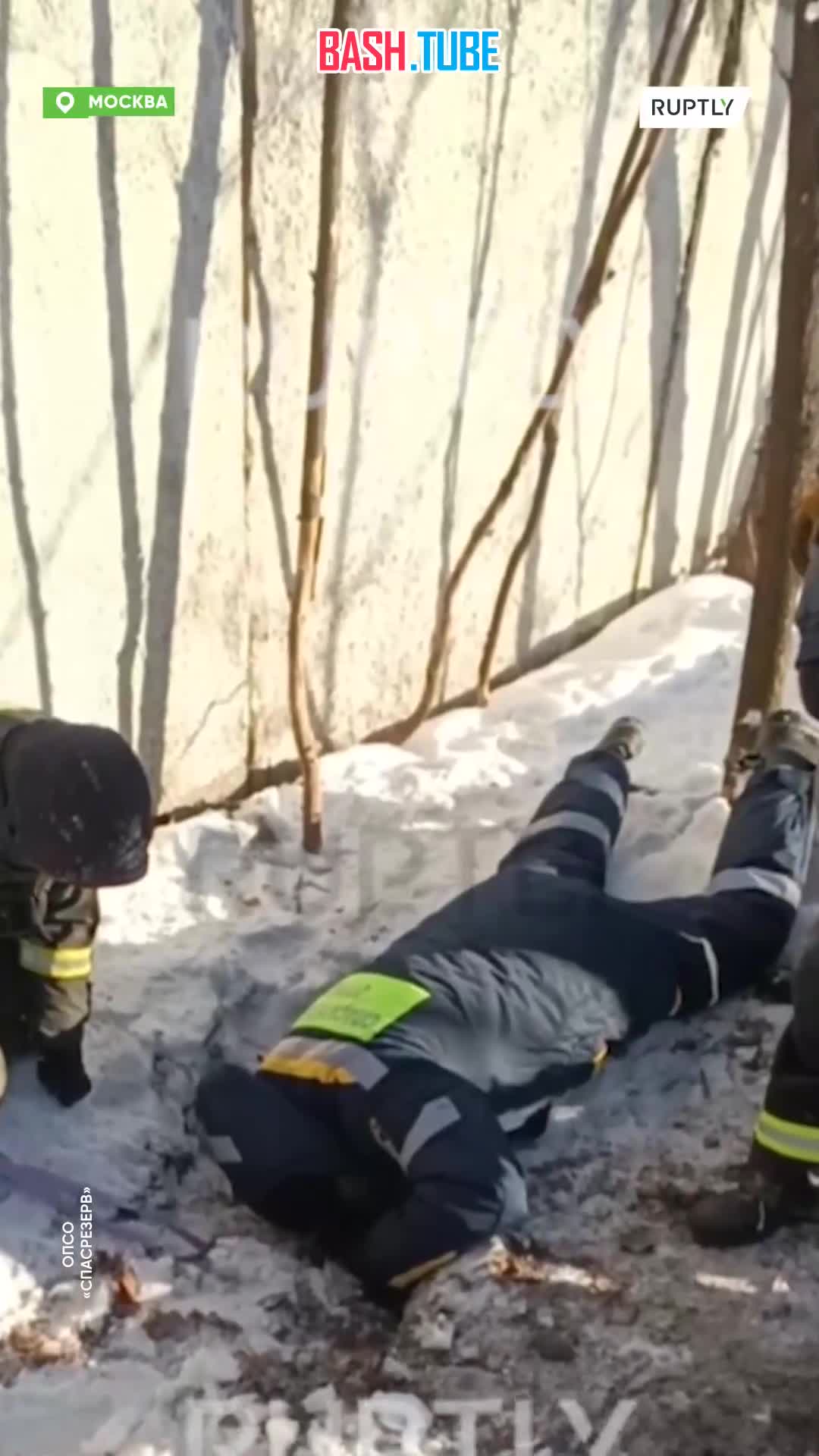  В Москве спасли сторожевого пса