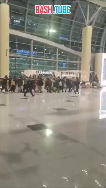 ⁣ В аэропорту Домодедово силовики ведут мигрантов на депортацию
