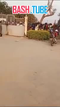  «Африканская колдунья» в Уганде арестовала мотоциклетного вора с помощью пчел