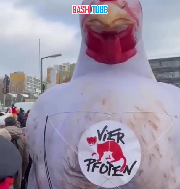 ⁣ К протестующим фермерам в Берлине присоединились зоозащитники с огромной надувной курицей