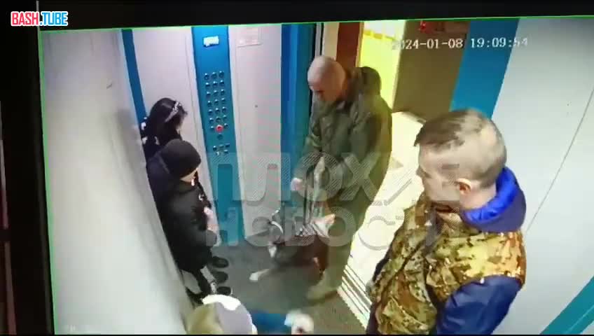  В Краснодаре бойцовская собака накинулась на ребёнка в лифте и укусила его за лицо