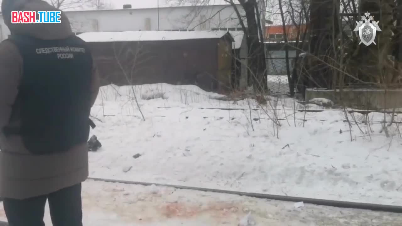 ⁣ Стая собак загрызла мужчину в Хабаровске