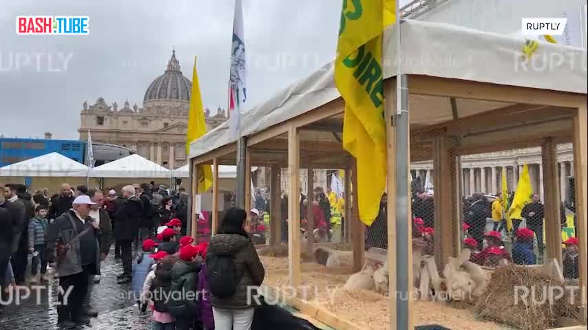  На площади Святого Петра в Ватикане благословили животных