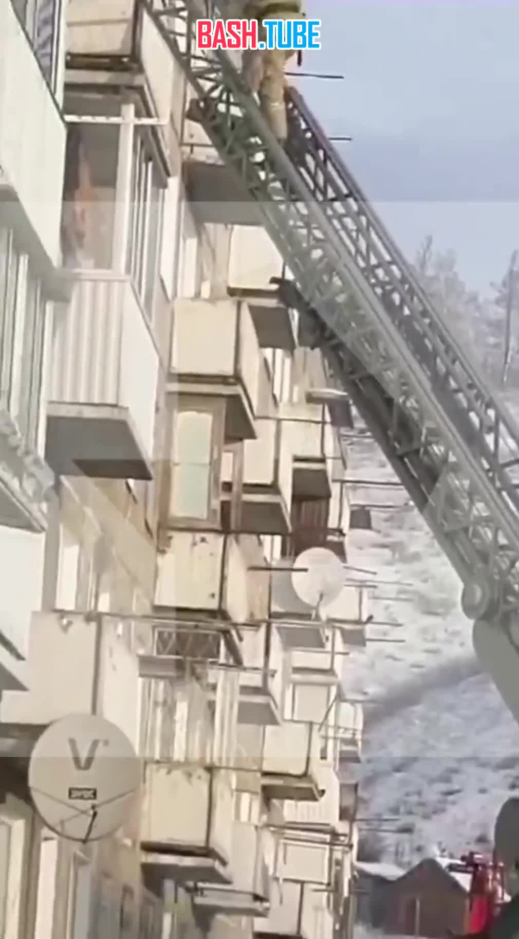 ⁣ Запертый на балконе кот четыре дня просидел на морозе в Хакасии