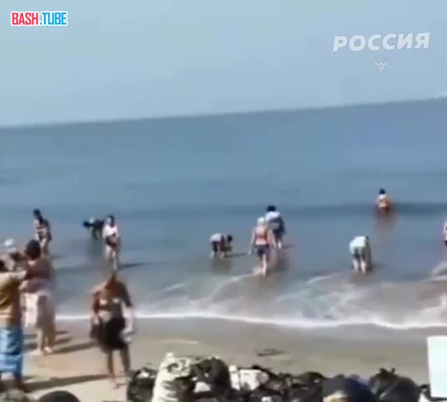  Российские туристы убирают мусор на пляже в индийской Керале