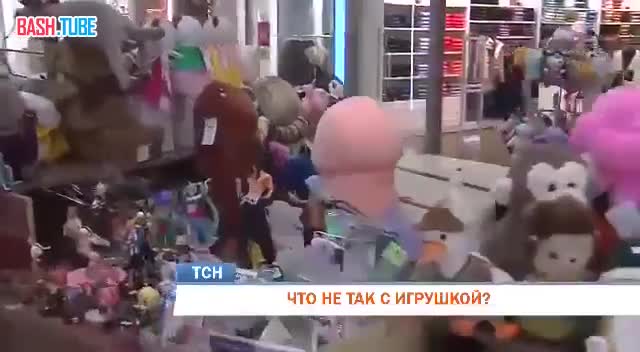  В Перми в одном из ТЦ на прилавке с мягкими игрушками стояли плюшевые члены