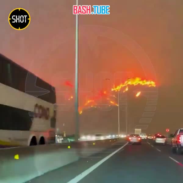 ⁣ Минимум 19 человек погибли из-за мощных лесных пожаров в Чили