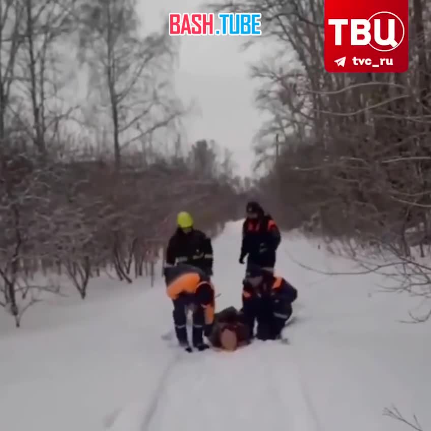 ⁣ Екатеринбургские сотрудники МЧС спасли замерзавшую в лесу бабушку